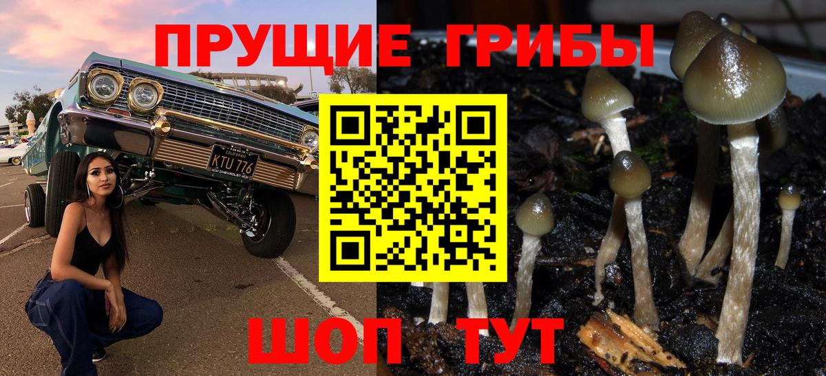 Галлюциногенные грибы Cubensis Краснотурьинск