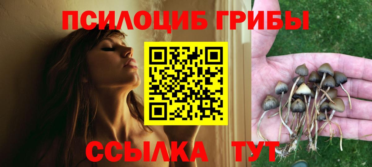 Псилоцибиновые грибы Cubensis  Вход с VPN  Псилоцибиновые грибы мухоморы  Краснотурьинск 